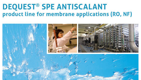Download the Dequest Italmatch Chemicals Reverse Osmosis & Thermal Desalination Brochure: